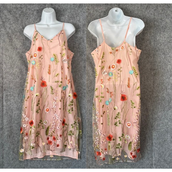 ECI Dresses & Skirts - Beige ECI Fairy Floral Embroider Garden Sheer Slip Dress Size‎ 12 Pink Butterfly